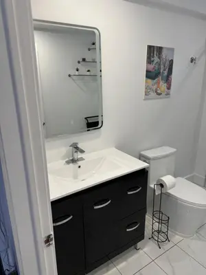 a bathroom with a sink and a mirror and a toilet at Rima in Montréal