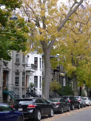 a street with cars parked in front of buildings at Gingerbread Manor in Montréal