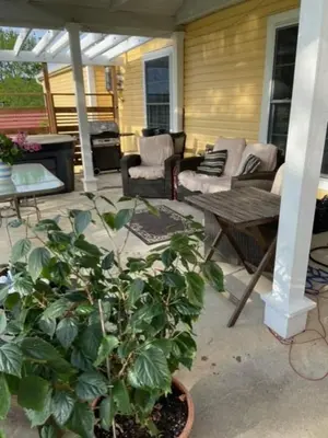 a patio with couches and a table and a plant at Paradise Eastern Township cottage in Cowansville