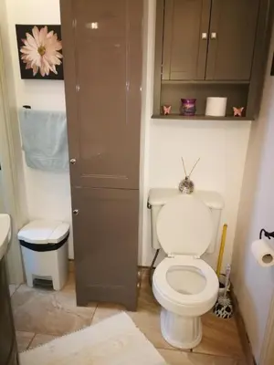a bathroom with a white toilet and a sink at Paradise Eastern Township cottage in Cowansville