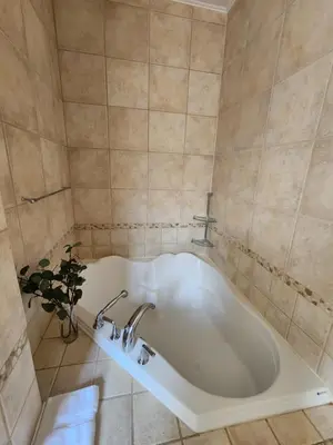 a white bath tub in a bathroom with a plant at Large & bright 3 bedroom in MTL in Montréal