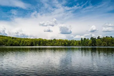 a large body of water with trees in the background at Private Charming Twin Room & Parking in Saint-Bruno-de-Montarville