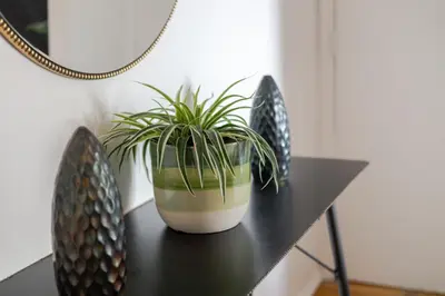 a black table with a potted plant on it at Bright 2BR in Plateau Mont Royal Downtown in Montréal