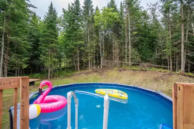 a swimming pool with a pink flamingo and a float at L'Étoile Brillante, Spa, River, Pool Table in La Patrie