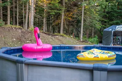 a pink flamingo and two inflatable boats in a pool at L'Étoile Brillante, Spa, River, Pool Table in La Patrie