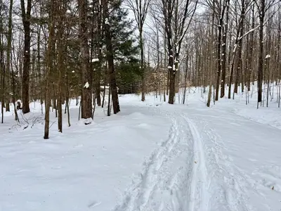 a snow covered path in a forest with trees at Le domaine Primavesi in West Brome