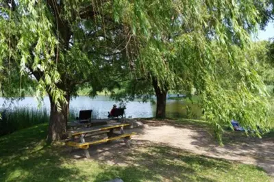 a picnic table under a tree next to a lake at Modern 3 bedroom condo in Montréal