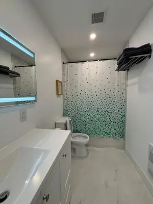 a bathroom with a toilet and a green wall at Bedford 2 in Montréal