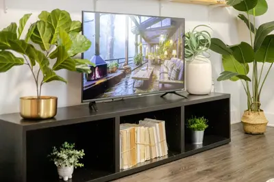a television on a black entertainment center with plants at Cozy and Spacious Condo Downtown in Montréal
