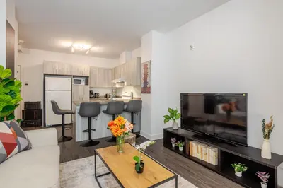 a living room with a couch and a tv at Wonderful 4 BR Home in the heart of Downtown in Montréal