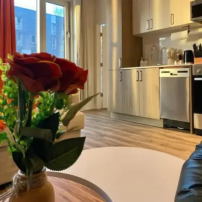 Terracotta 1-BD in Downtown MTL