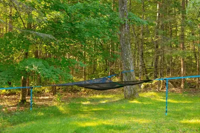 a hammock hanging from a tree in a forest at CHALET Le HAVRE NATURE SPA in Mansonville
