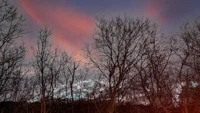 a group of trees with a rainbow in the sky at 851 condo in Bromont Vieux Village mountain view in Bromont