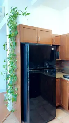a black refrigerator in a kitchen with a plant at Spacious Condo with a Bright Interior in Montréal