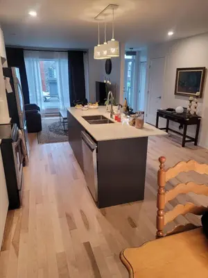 a kitchen with a sink and a counter top at Longueuil homestay in Longueuil