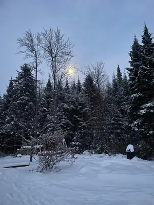 a snow covered field with trees and the moon in the sky at La détente in Disraeli