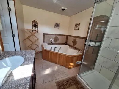 a bathroom with a tub and a sink and a shower at Le Repos Du Lac Aylmer in Disraeli