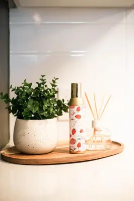a shelf with a plant and a bottle on it at Studio 21 charme et confort au coeur de Magog in Magog-Orford