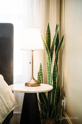 a lamp on a table next to a plant at Studio 21 charme et confort au coeur de Magog in Magog-Orford