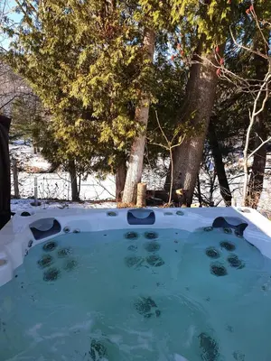 a hot tub in the snow with trees in the background at Chalet Le Mignon Nature Escape & Comfort in Saint Ambroise de Kildare