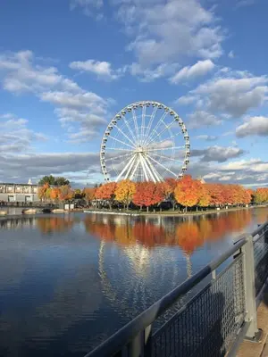 a ferris wheel in a park next to a lake at Exclusive Sanctuary Elegance Meets Comfort in Montréal