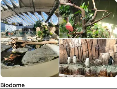a collage of photos of a zoo with a bird at 2 beds in a private room B with a free parking -15 min from downtown in Longueuil