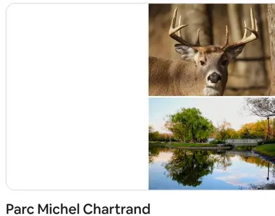 a picture of a deer and a picture of a pond at 2 beds in a private room B with a free parking -15 min from downtown in Longueuil