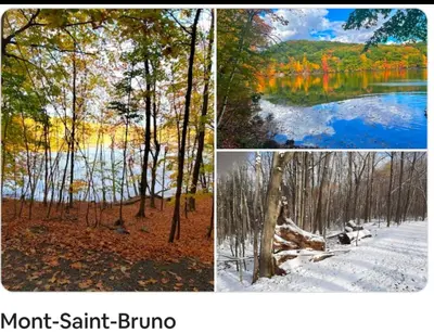 three different pictures of a lake in the woods at 2 beds in a private room B with a free parking -15 min from downtown in Longueuil