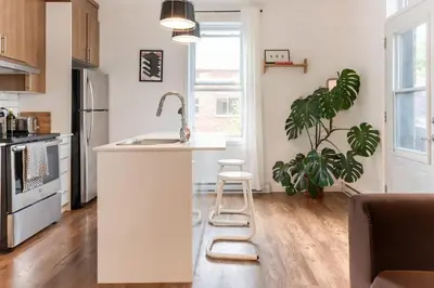 a kitchen with a white counter and a plant at Appart lumineux et chaleureux in Montréal