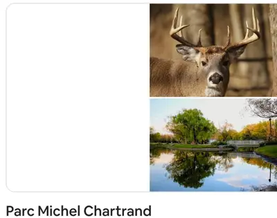 a picture of a deer and a picture of a pond at Private roomC Fee parking 15min downtown in Longueuil