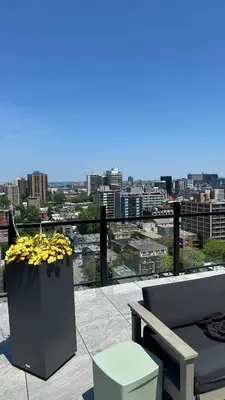 a vase of yellow flowers sitting on top of a balcony at Great view 1BDRM APTR in heart of Montreal DWTN in Montréal
