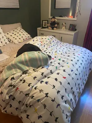 a bed with a comforter with birds on it at Résidence le HAvre in Laval