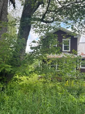 a house with a tree in front of it at Simple de nature in Austin