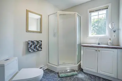 a bathroom with a shower and a toilet and a sink at Sutton's montagne view in Sutton