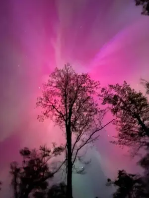a purple and pink sky with two trees at House on a beautiful maple grove in Valcourt