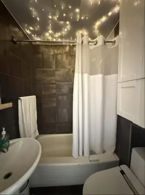 a bathroom with a shower and a toilet and a sink at Cozy 1 bdrm apartment in the Village in Montréal