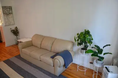 a couch in a living room with two potted plants at Van Horne Sweet Celebration in Montréal
