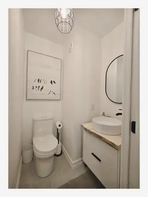 a bathroom with a white toilet and a sink at Lakefront Spa - Chez Bernard L'Hermite in St-Ferdinand