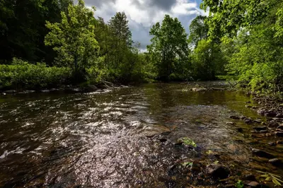 a river with rocks in the water and trees at By the river - Le 91 in Frelighsburg