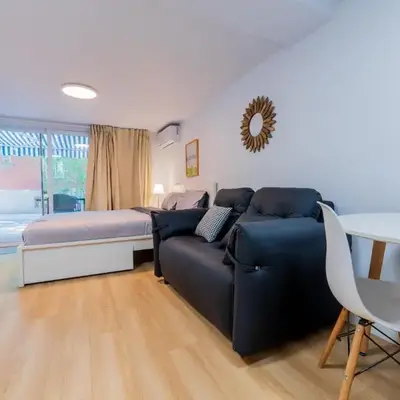 Renovated Studio w Parking Queen Bed and Sofa Bed