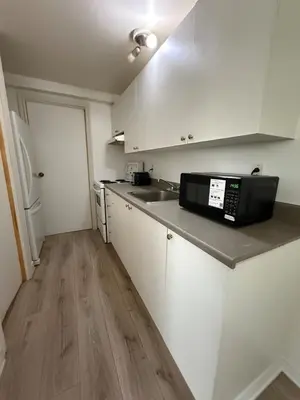 a kitchen with a sink and a microwave on a counter at Studio, Near Montreal in Repentigny