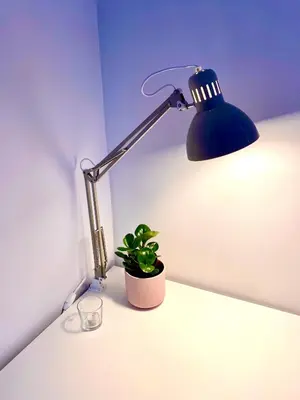 a blue lamp sitting on a table with a plant at 2 min from Bell Center, Downtown & metro station in Montréal