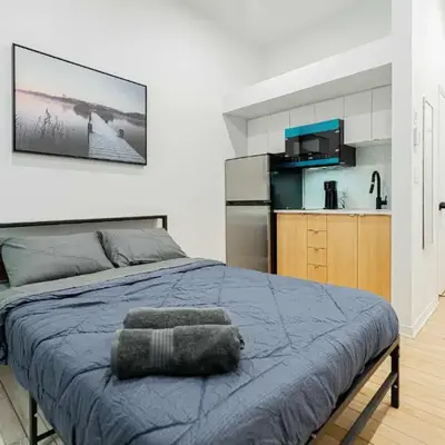 Chic Bright Apartment with Parking Near downtown Montreal