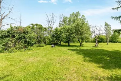 a grassy field with trees in the background at 3 bedrooms in Brossard,mins to REM station,hwy in Brossard