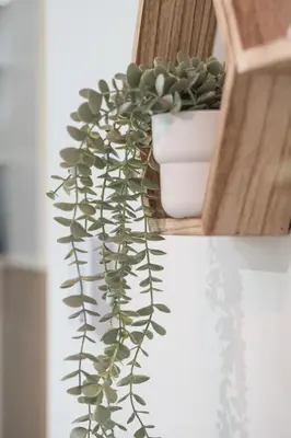 a plant in a white pot on a shelf at Amazing 1Bed Downtown Mtl in Montréal