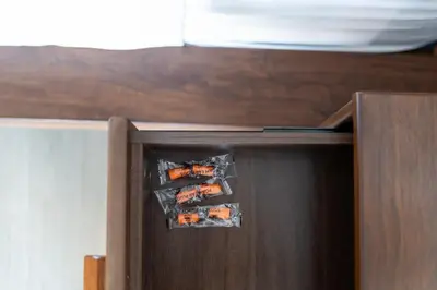 a cupboard with four carrots inlined at Chic Hideaway - Downtown Hotspot in Montréal