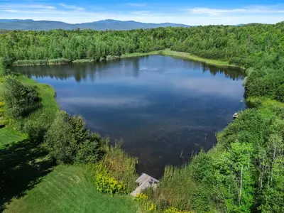 an aerial view of a lake in the woods at Lake - Spa - Pool Table - Chalet Ookpik in Potton