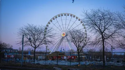 a ferris wheel in a park with trees at Top Location - The 777 Old Port Gem in Montréal
