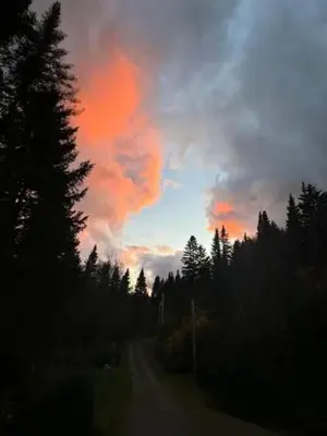a dirt road with trees and a cloudy sky at Chalet Le Mona in Notre-Dame-Des-Bois