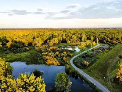 an aerial view of a river and trees at chalet 4 - Domaine de l'Archipel in Sorel